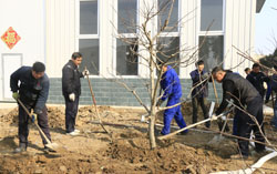山东中煤集团新工业园区举行绿化植树活动