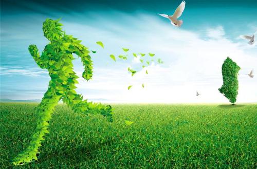 行业质量标准化会议提出绿色发展主线